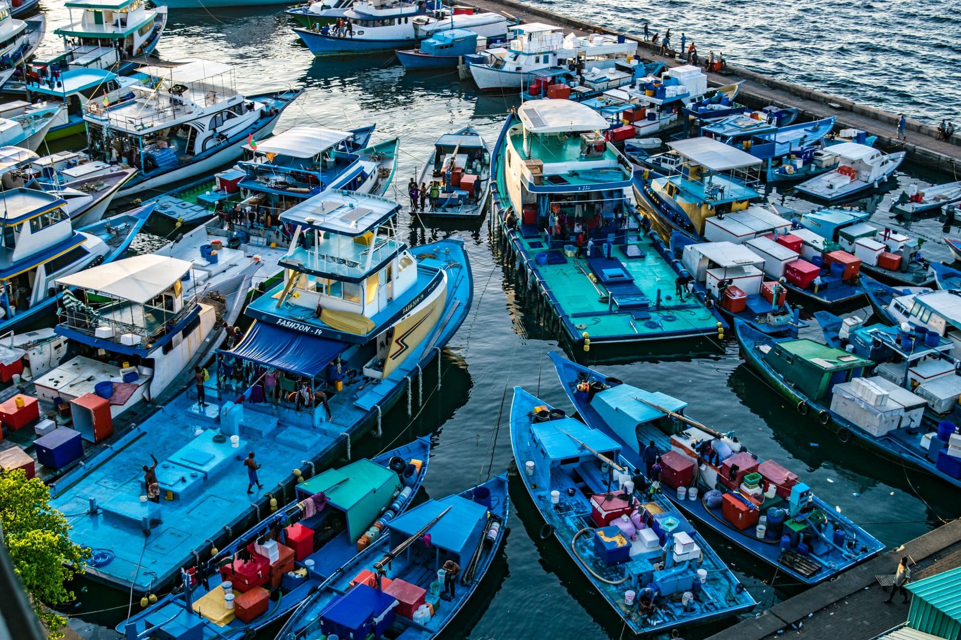 Boats moored along the Malé waterfront